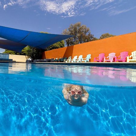 Big4 Swan Hill Hotel Ngoại thất bức ảnh